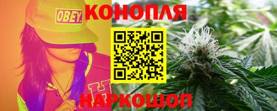 гашик Дубна