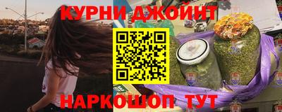 гашик Дубна