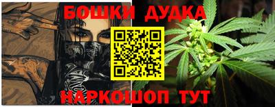 гашик Дубна