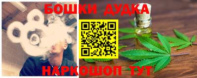 гашик Дубна