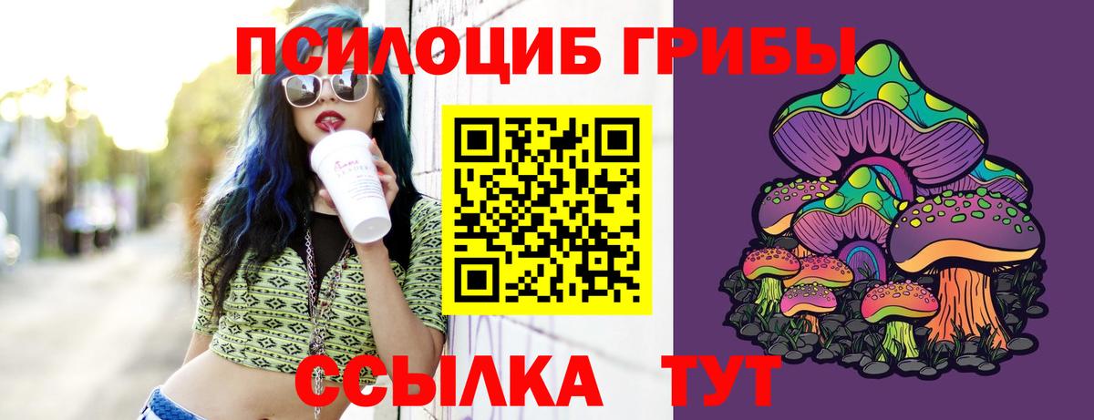Псилоцибиновые грибы мухоморы Муравленко